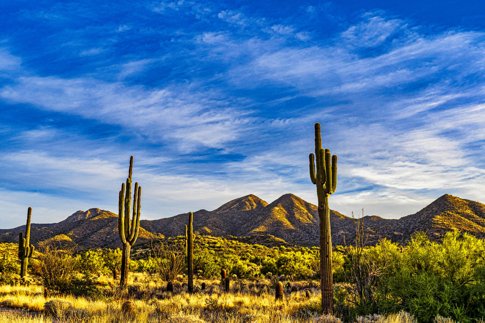 Arizona CPA Requirements